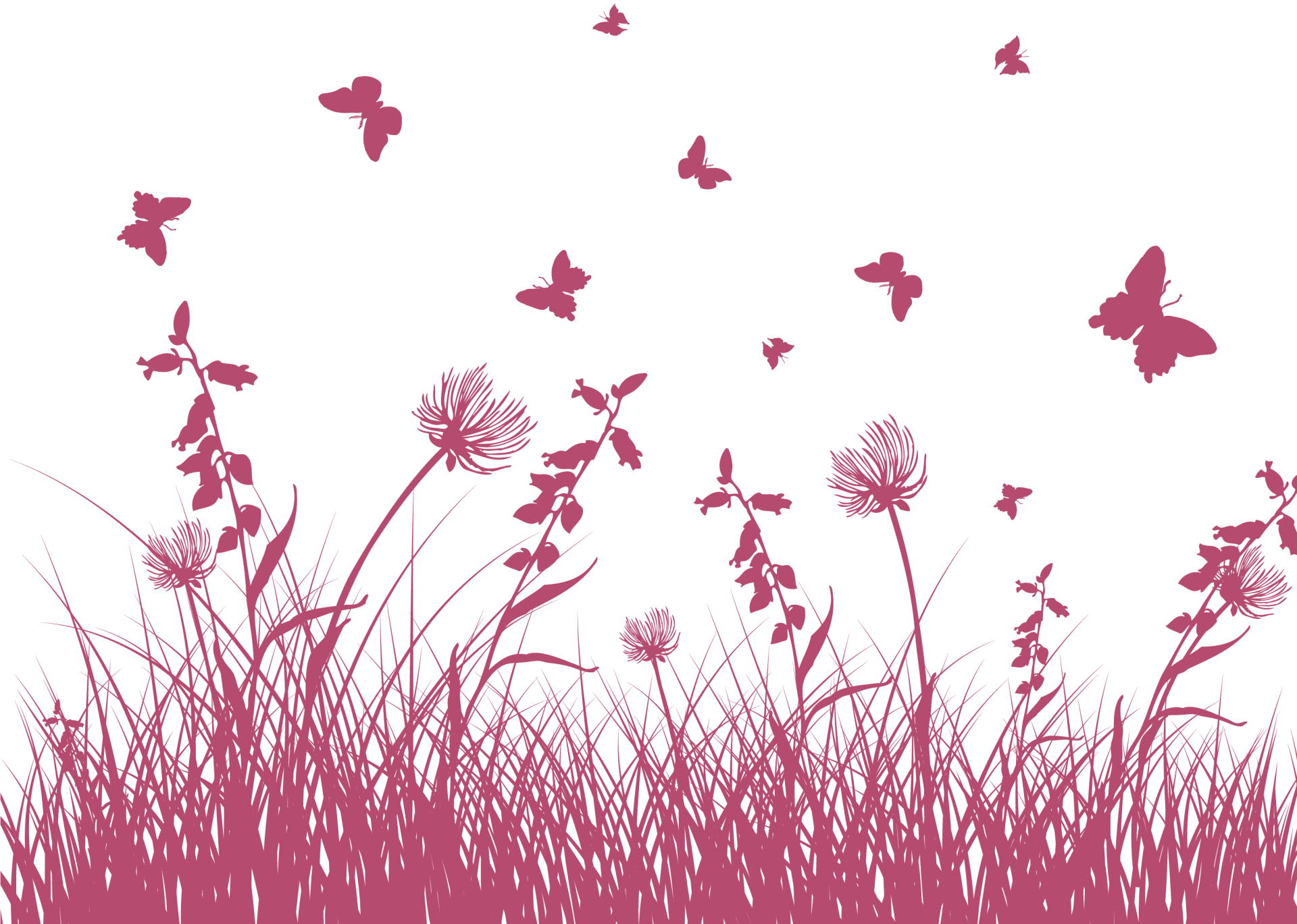 Flores de Bach