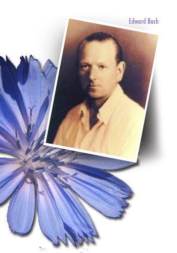 Edward Bach - Flores de Bach