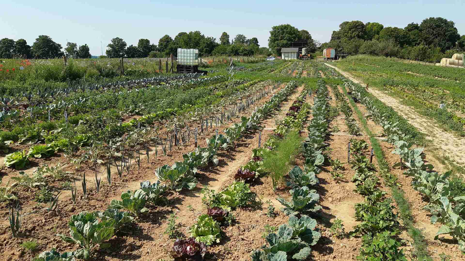 Saisongarten Erfahrungen Eindrücke