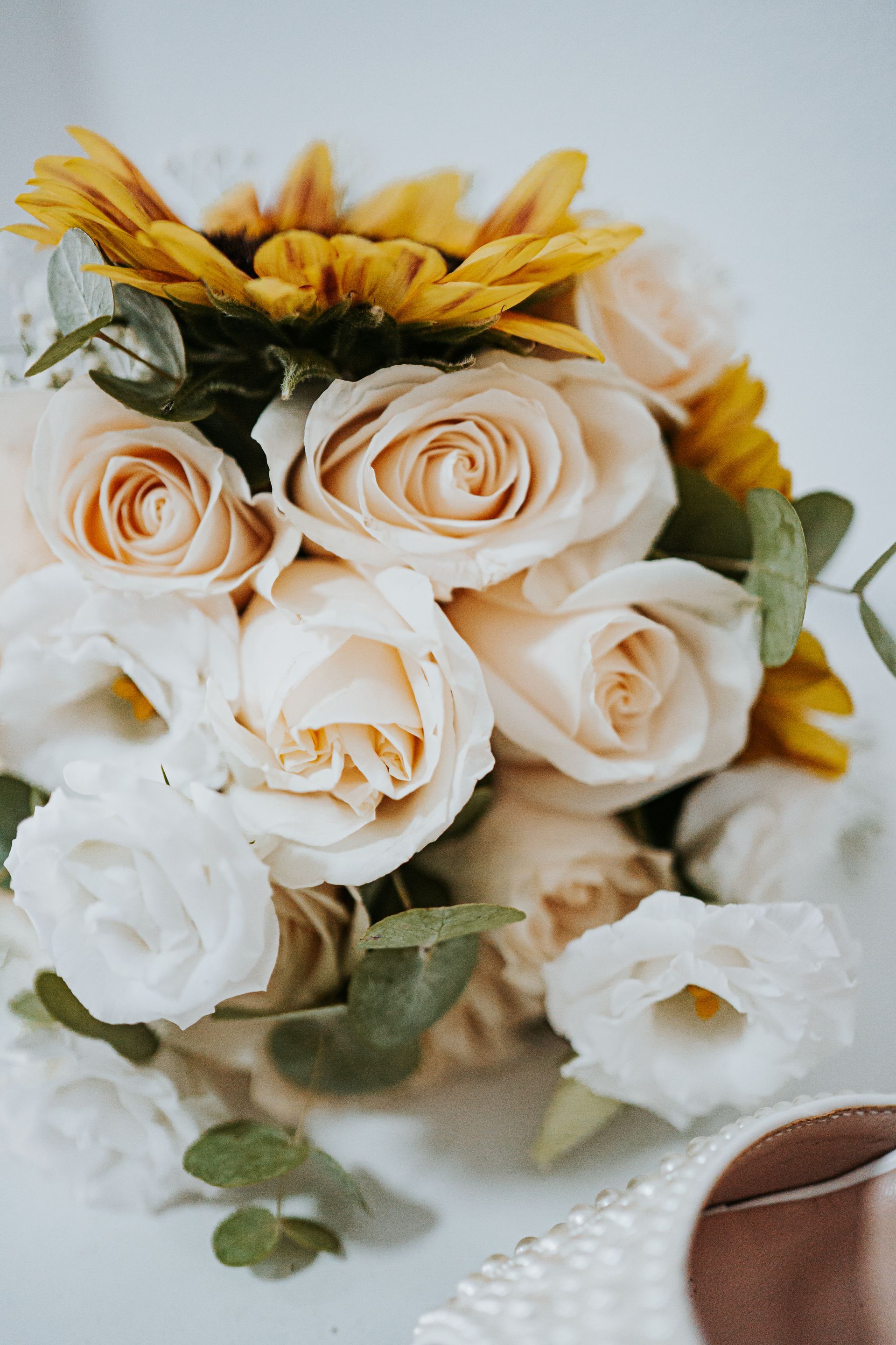 Flores