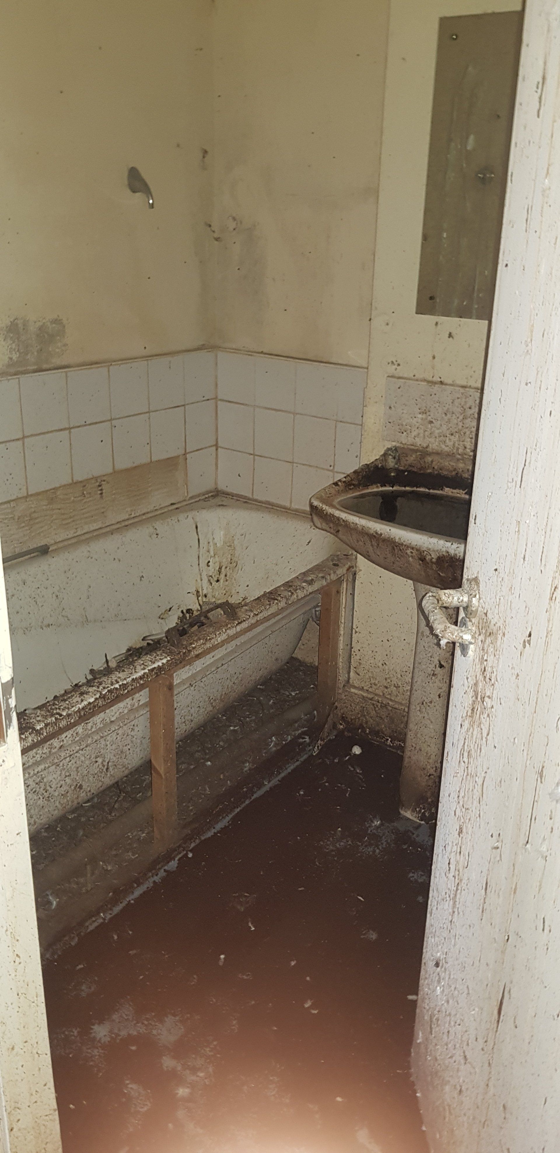 A bathroom completely filthy, with pigeon faeces all across the bath, floor, sink and door.