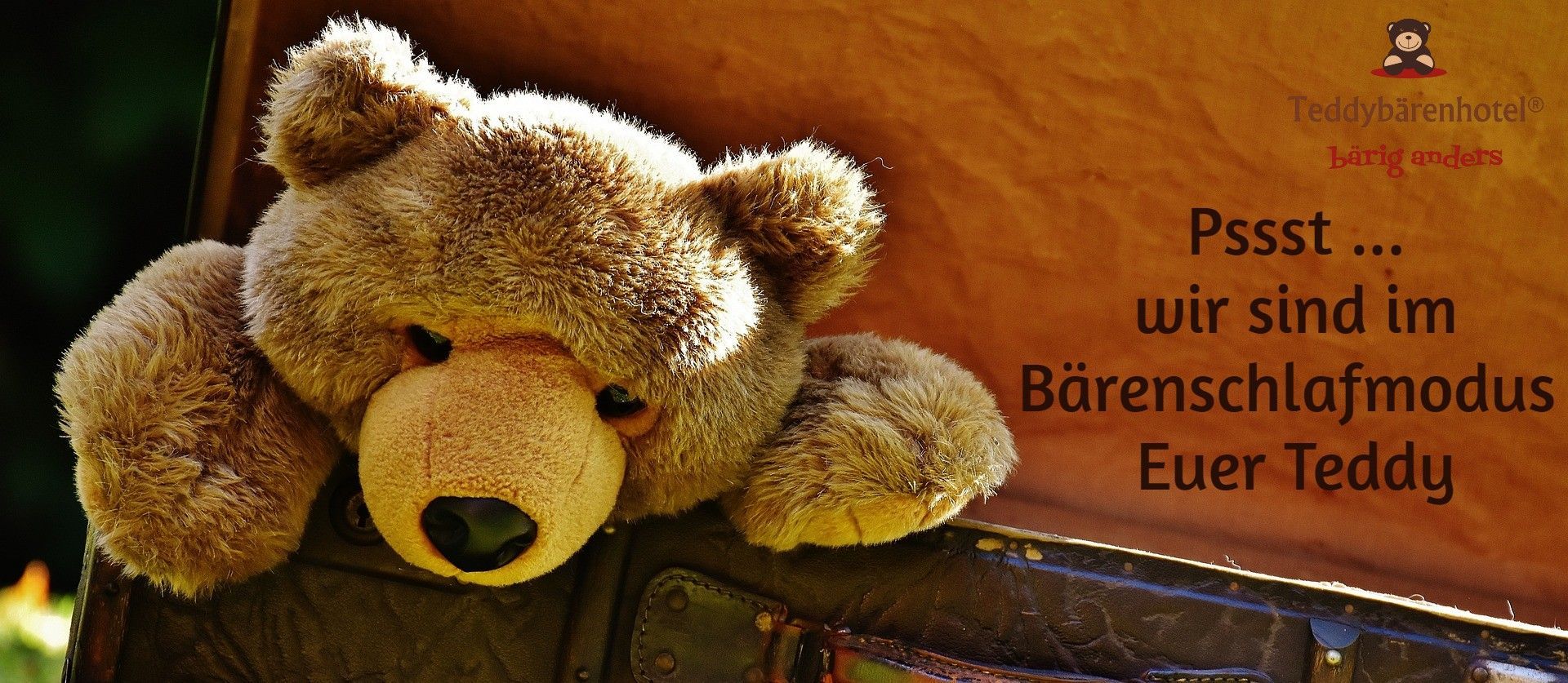 Bärenschlafmodus