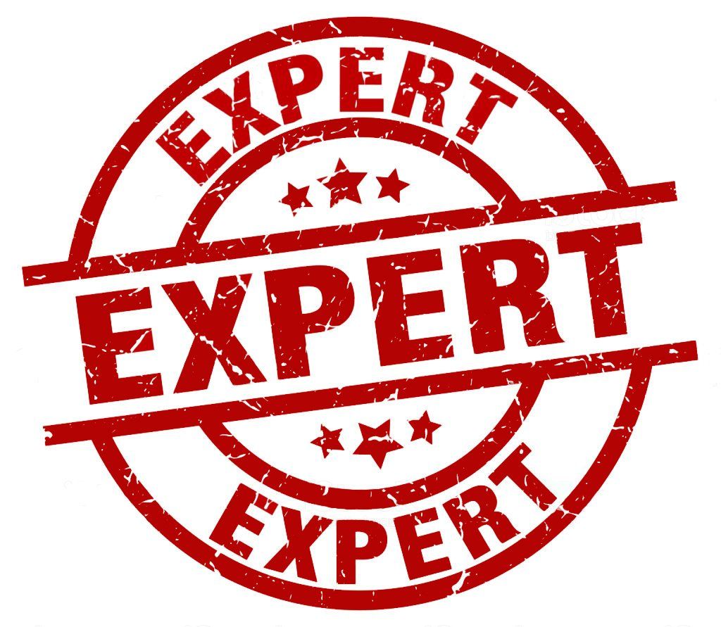 Expert Alarm Installer Stamp