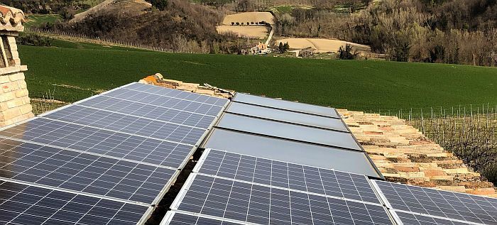 eco holiday home villa in the vineyard