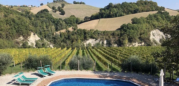eco holiday home villa in the vineyard