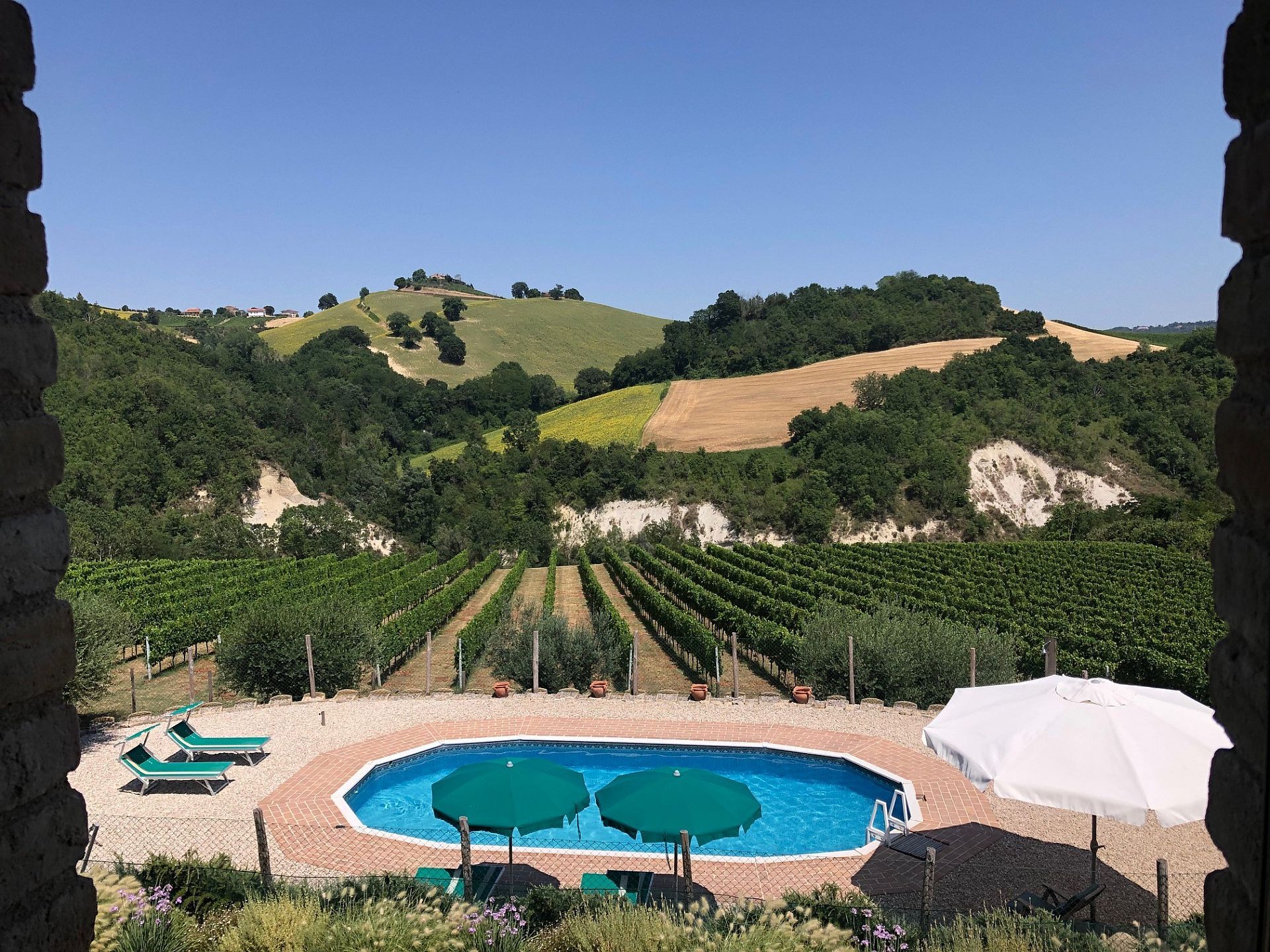 Le Marche eco holiday apartment | Villa in the Vineyard