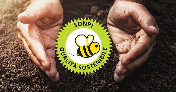 sustainable viticulture