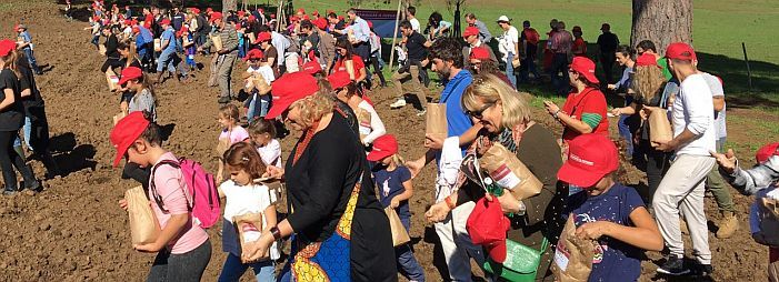 sewing seeds for the future