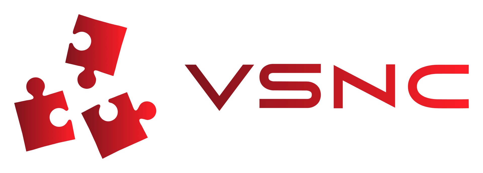 VSNC LLC - Logo