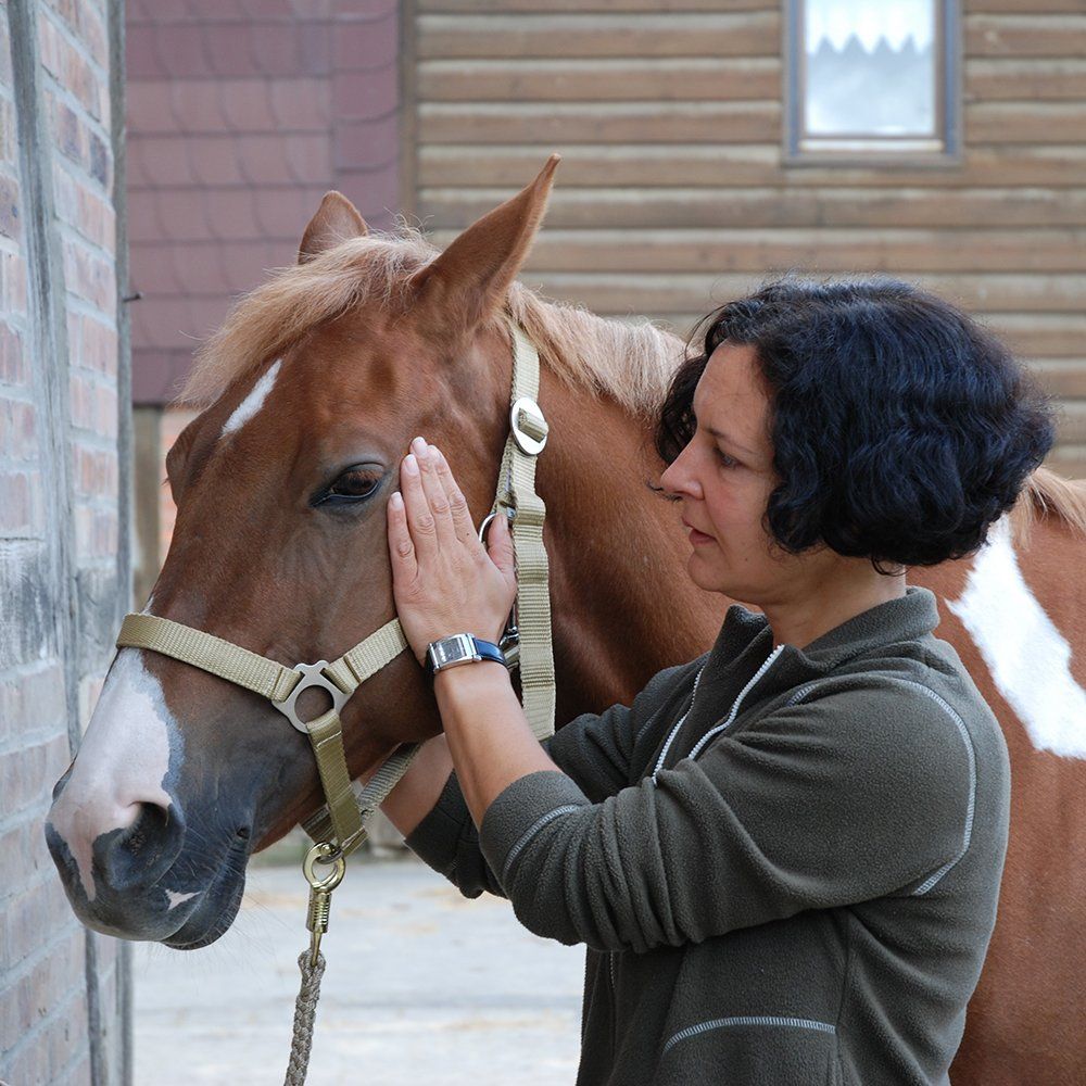 Akupunktur Pferd Behandlung Mettmann