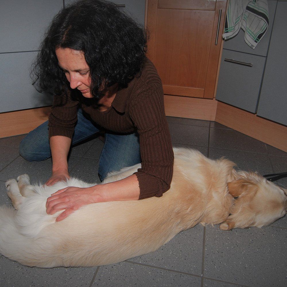 Osteopathie Hund Behandlung Heiligenhaus