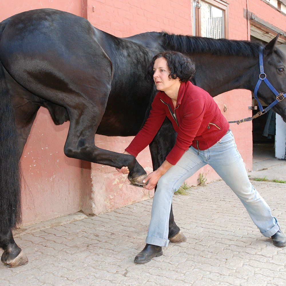 Osteopathische Behandlung 3