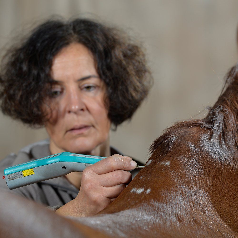 Physiotherapie mit Laserbehandlung