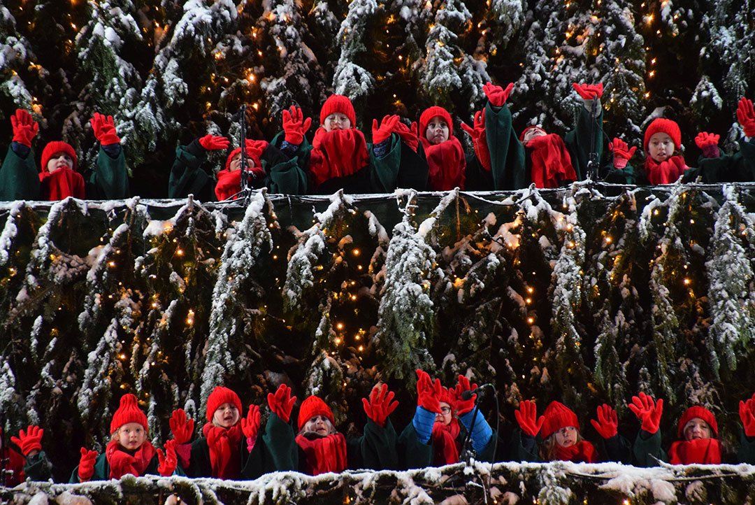 Inklusive Musicalgruppe Waldkirch Inklusive Musicalgruppe Waldkirch