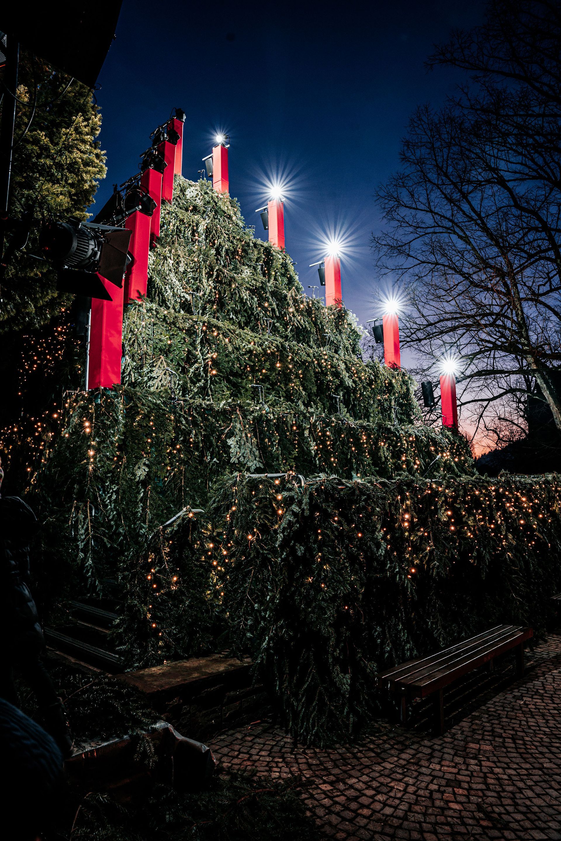 Der Singenden Weihnachtsbaum freut sich auf den nächsten Einsatz Der Singenden Weihnachtsbaum freut sich auf den nächsten Einsatz