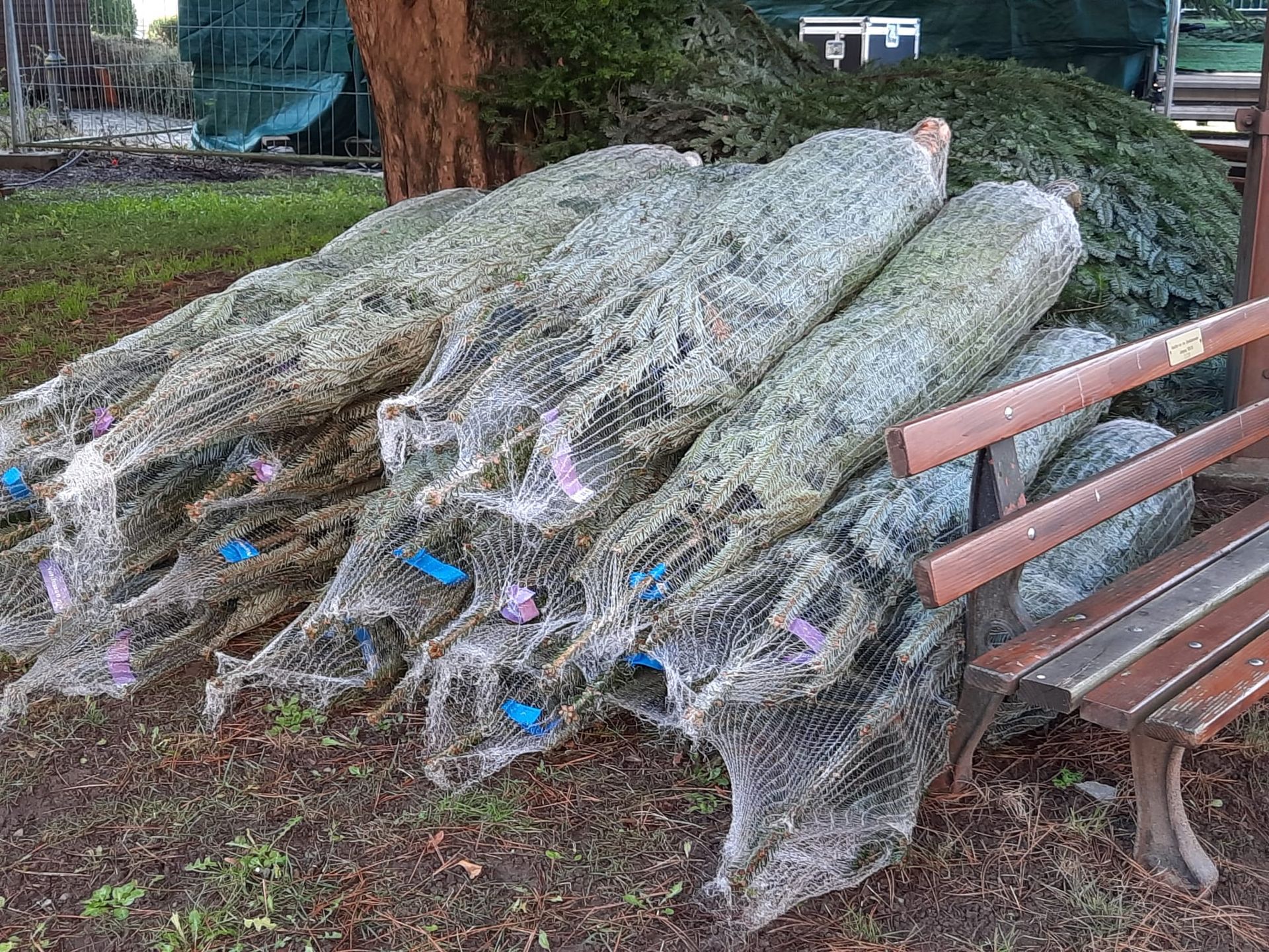 Aufbau von Hütten, Marktständen und Baumgerüst