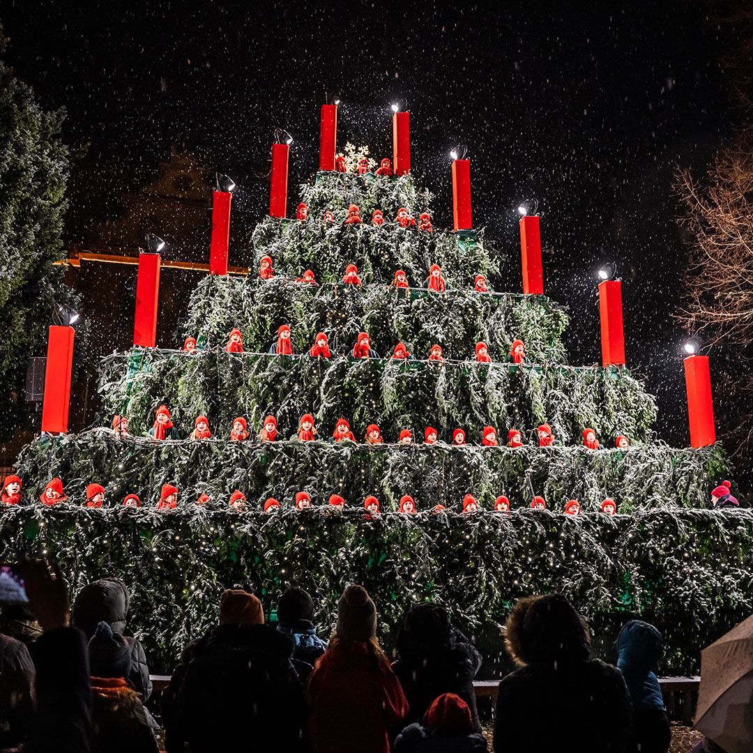 Der Singende Weihnachtsbaum Waldkirch Der Singende Weihnachtsbaum Waldkirch
