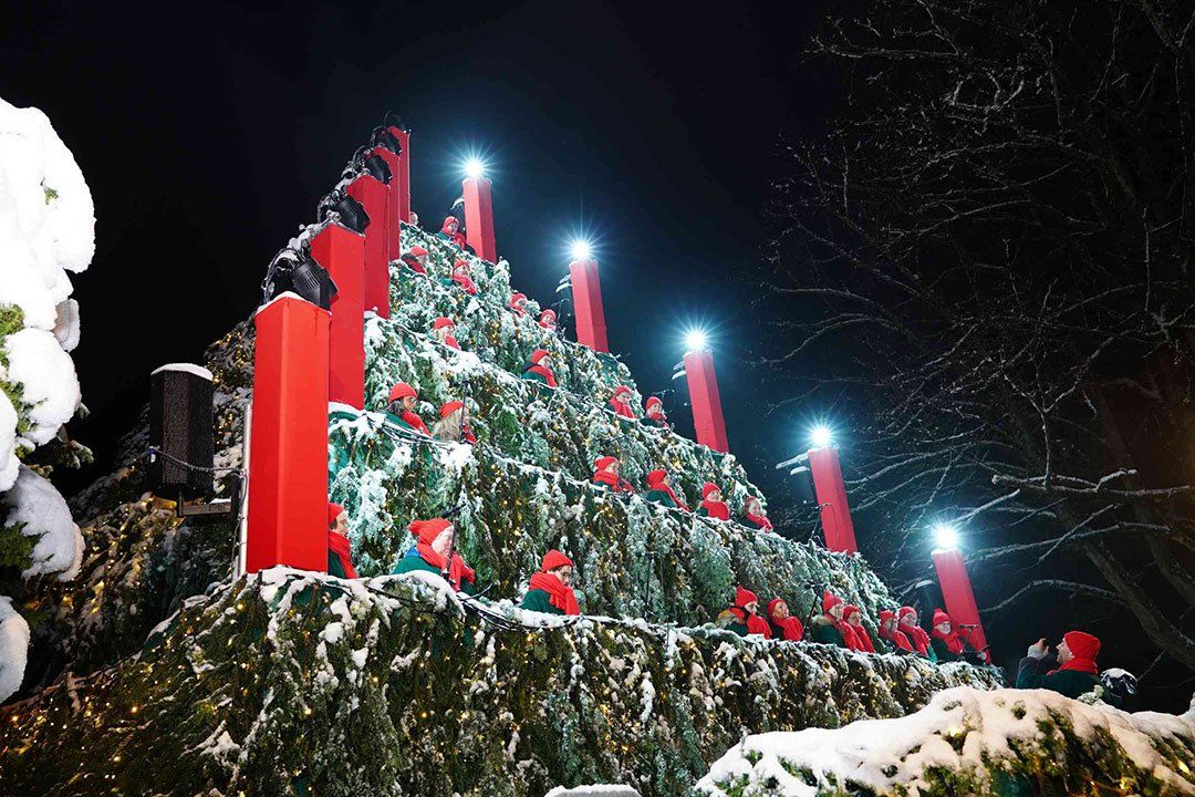 PopVox aus Emmendingen PopVox aus Emmendingen