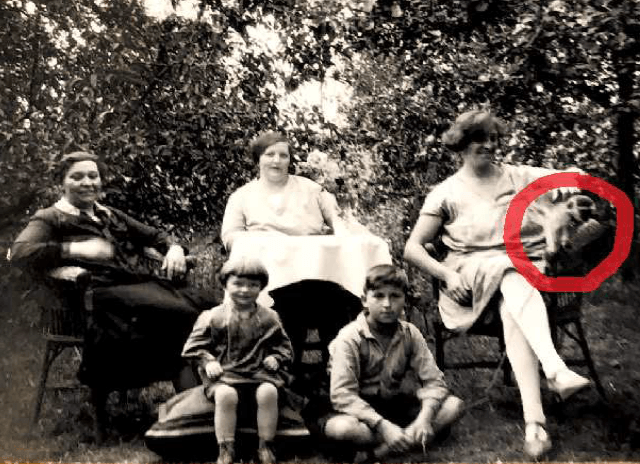 Ratskeller der Stadt Leipzig