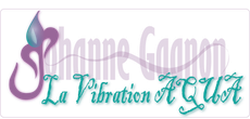 Entete Logo Johanne Gagnon - La Vibration Aqua