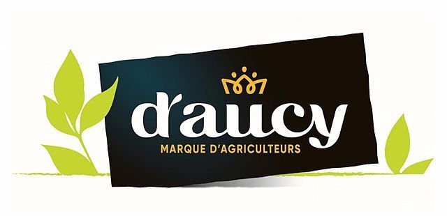 Daucy
