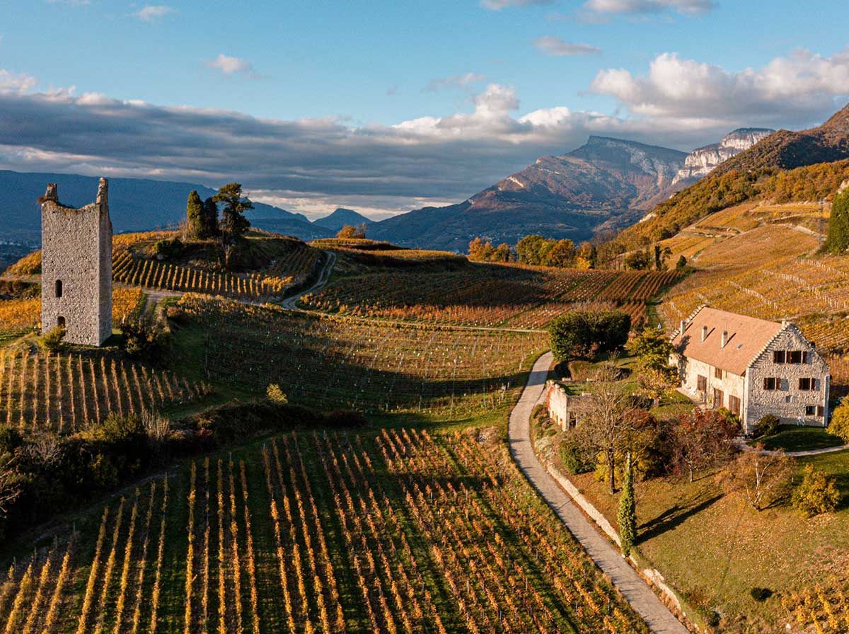 Chignin paysage de Savoie
