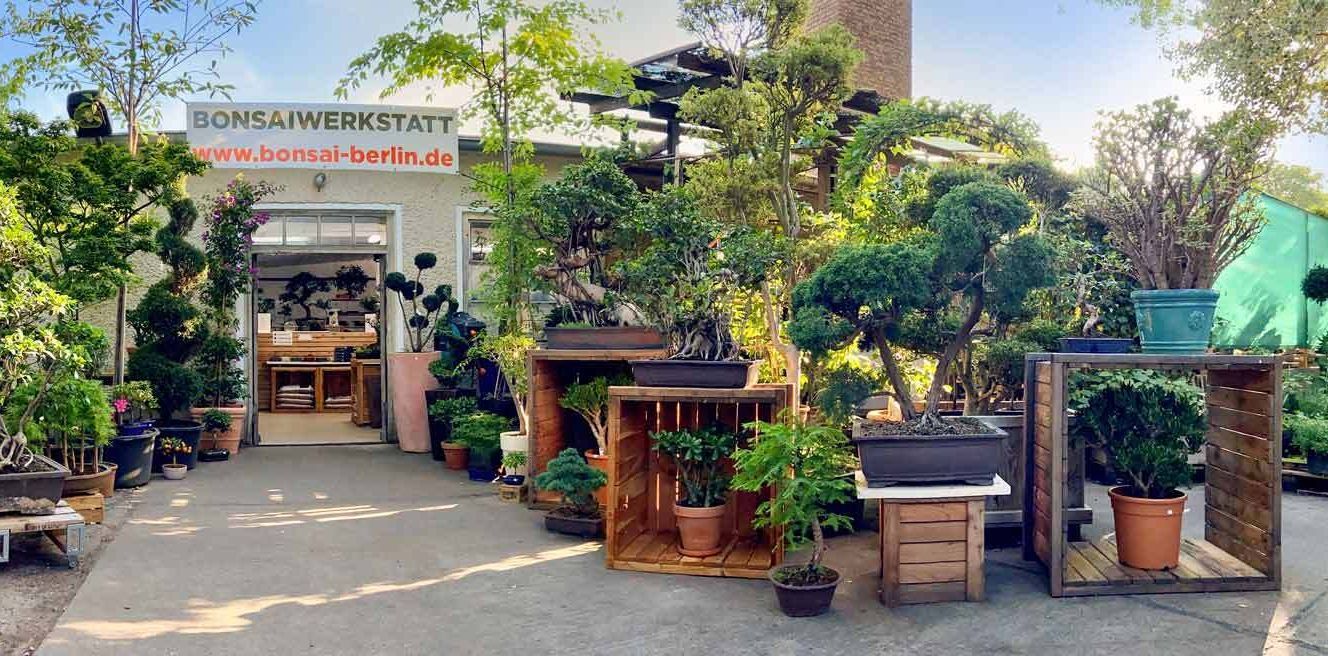 Bonsai Laden Berlin