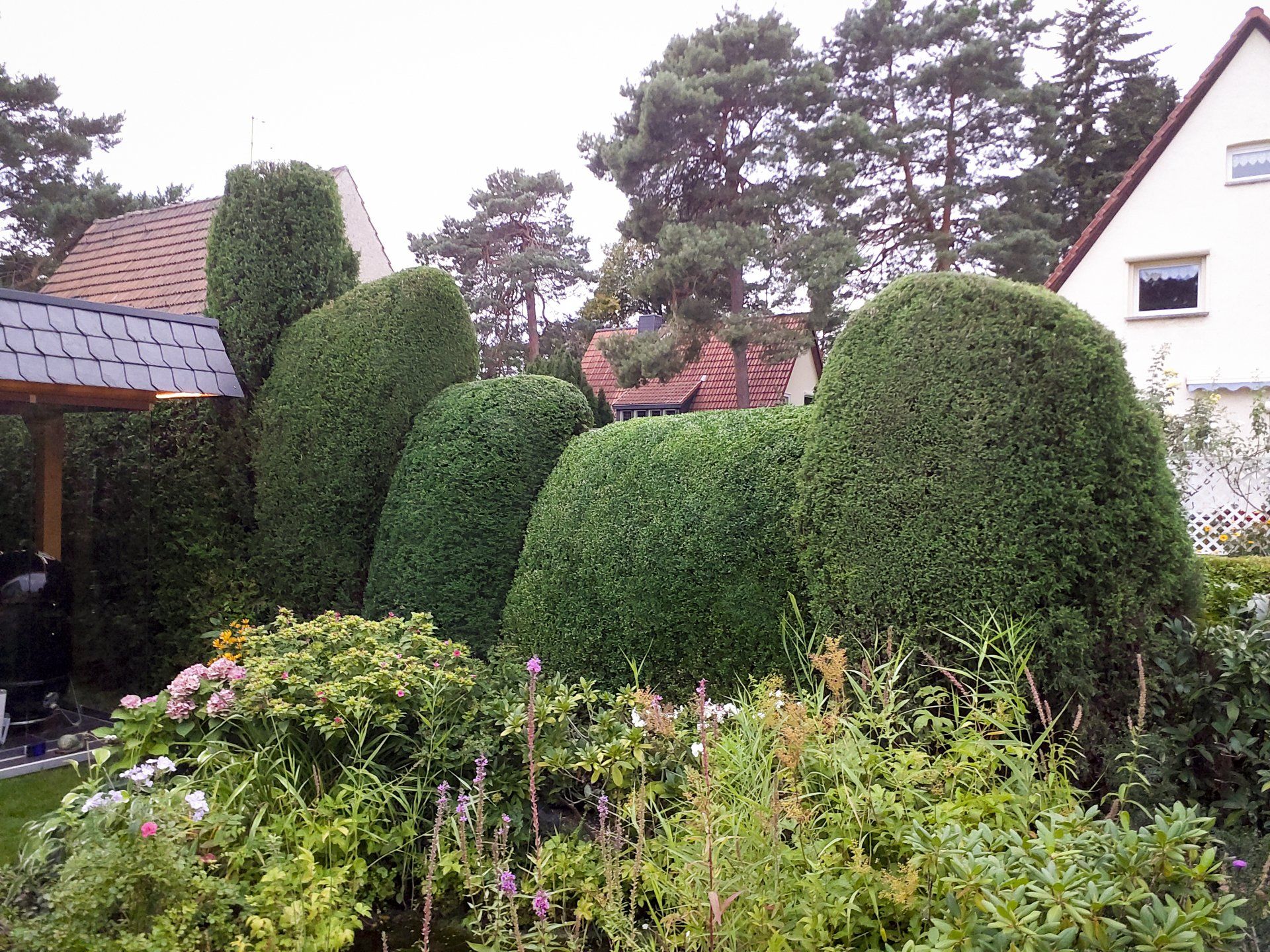 Garten mit Formgehölzen