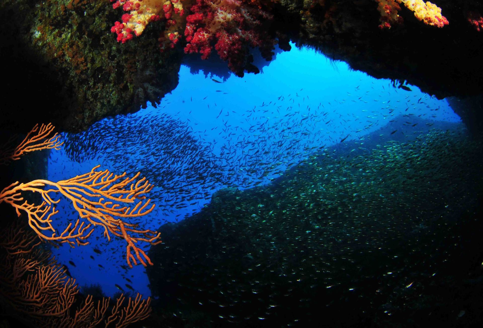 Kumomi, avec ses grottes hébergeant une impressionnante biodiversité
