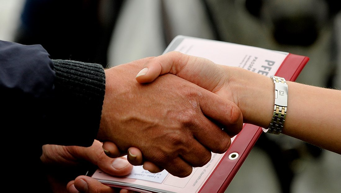 Handschlag im Pferdegeschäft