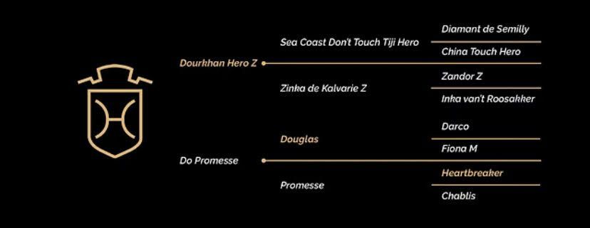 Abstammungstafel Dourkhan Pro Hero