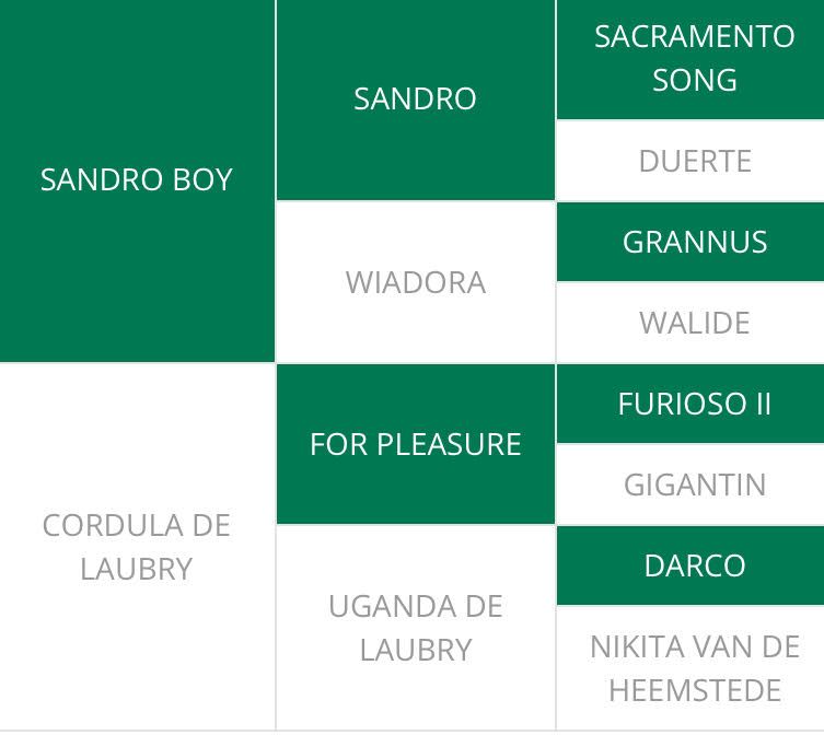 Abstammungstafel Fantomas de Muze