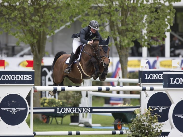 Springhengst Bamalo de Muze