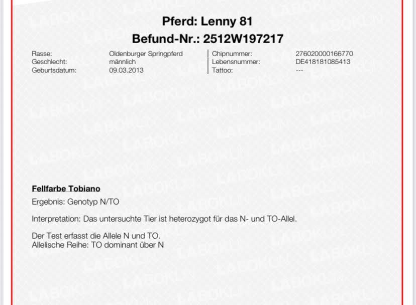 Ergebnis Farbvererbung