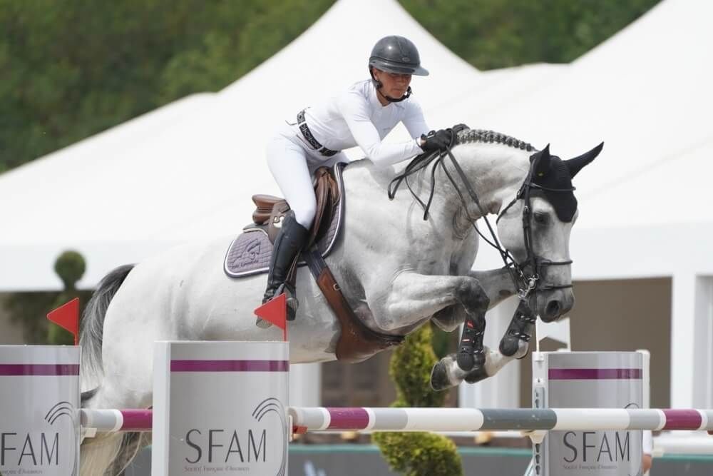 Springhengst Bolero de Beaufor mit Reiter