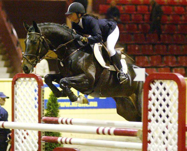 Springhengst Cuper unter dem Reiter beim Springen