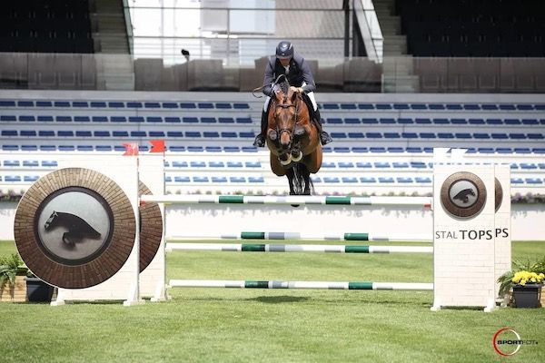 Springhengst Casanova de Beaufour DXB - Vornholt Hengste