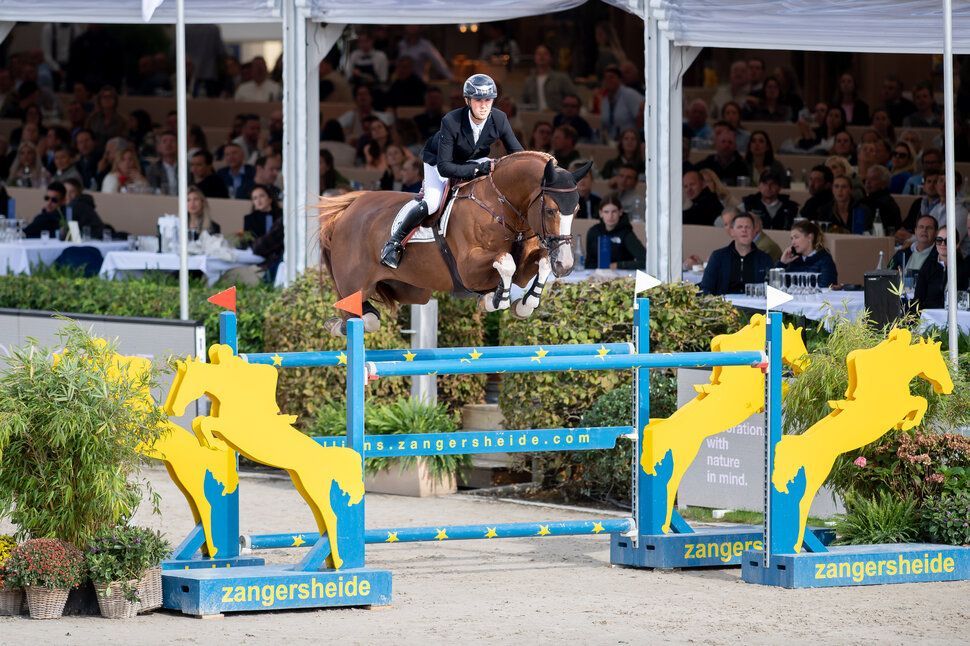 Cavalier Russe Z beim Freispringen