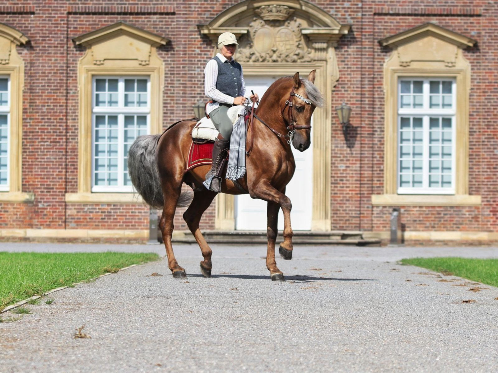 Estudioso de Vinuela