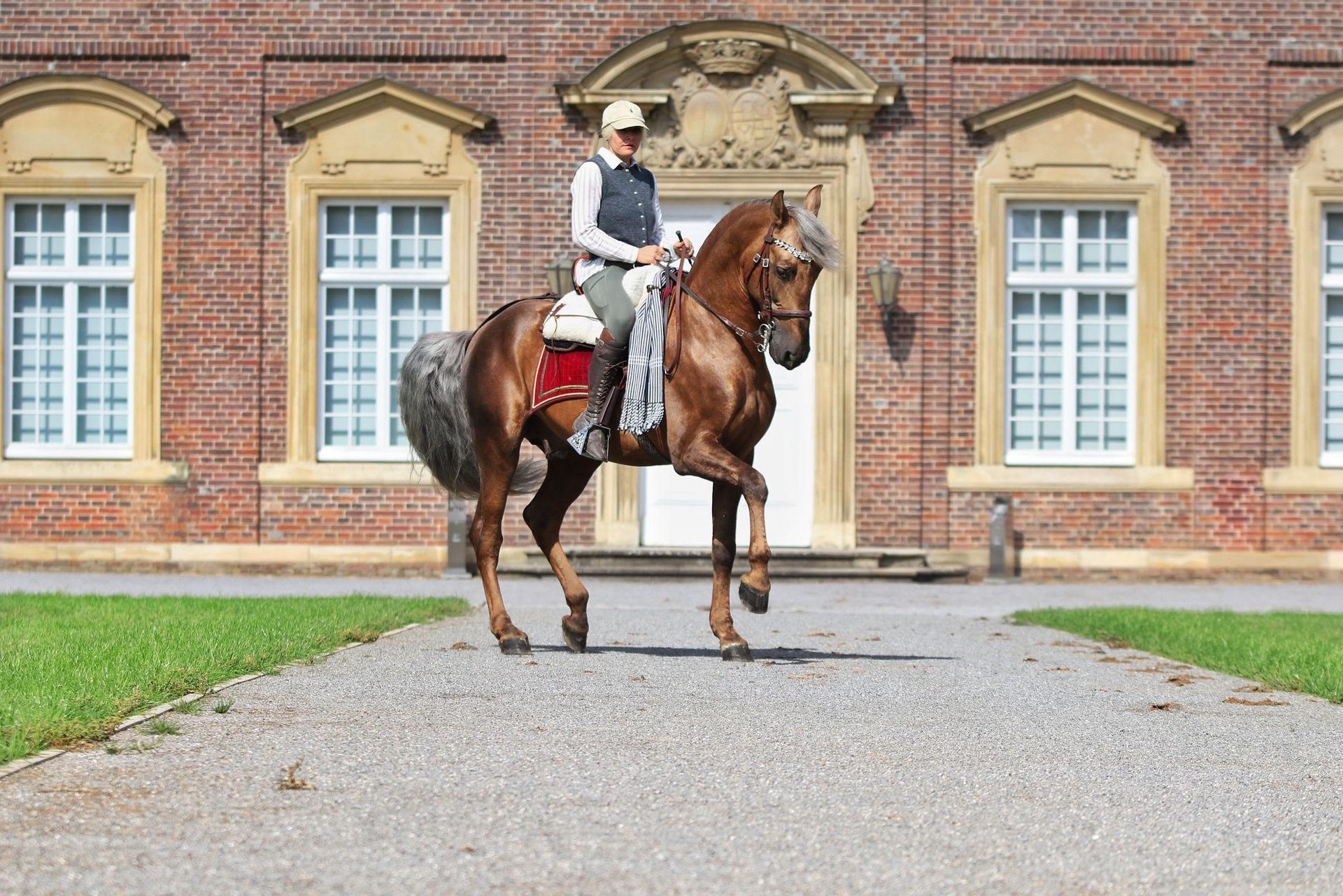 PRE Hengst Estudioso