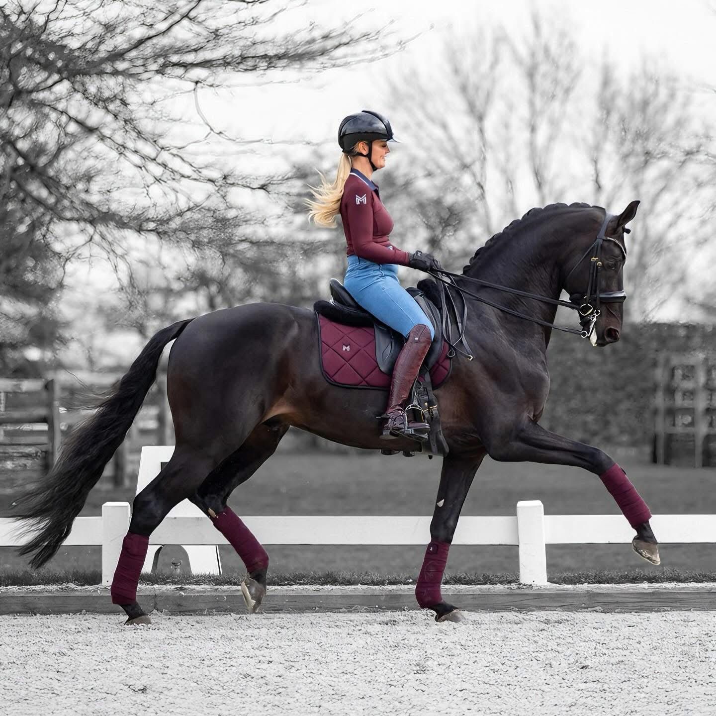 Springhengst Caroly unter dem Reiter beim Springen
