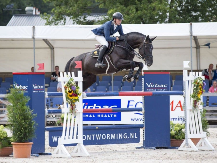 Springhengst I´m Special de Muze