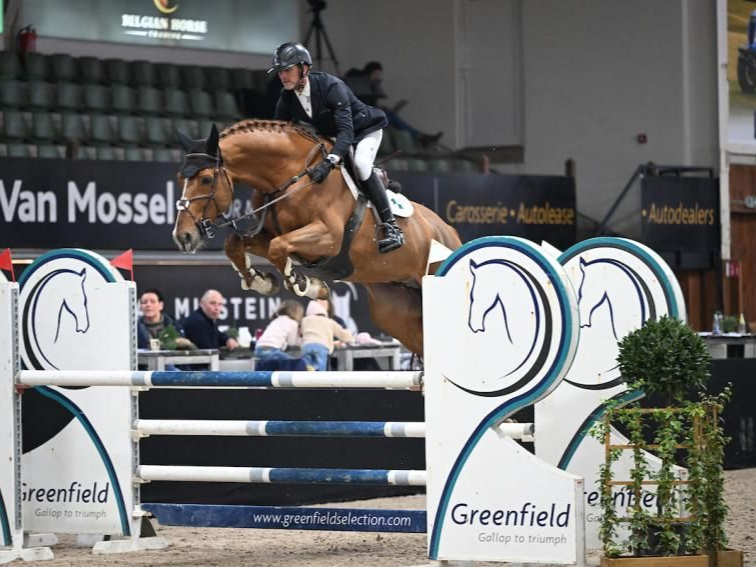 Springhengst Jaguar SIH Z