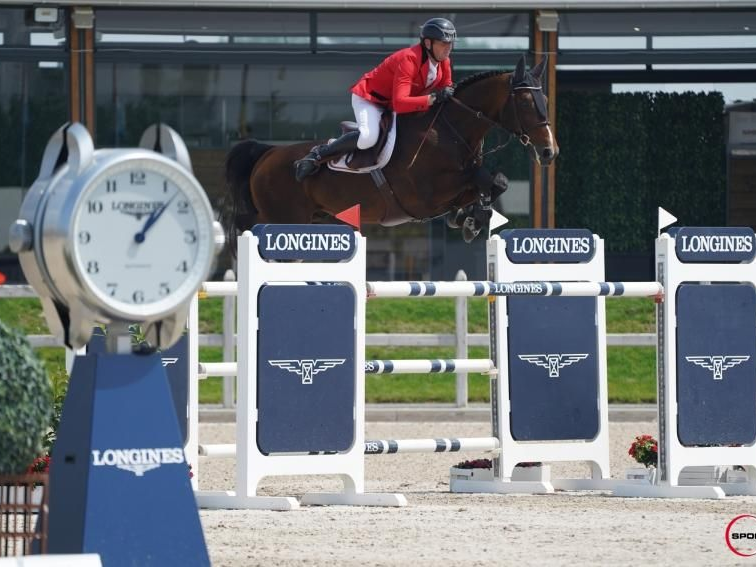 Springhengst Lector vd Bisschop