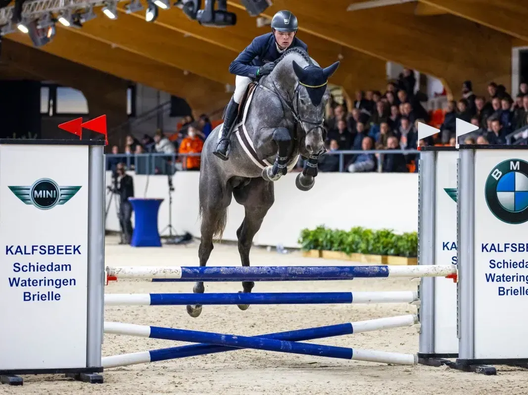 Hengst Notting Hill JL über Sprung mit Reiter