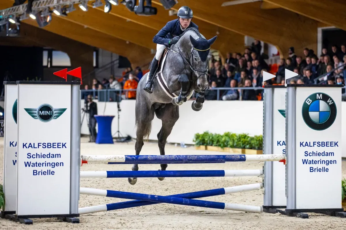 Springhengst Notting Hill JL mit Reiter beim Springen