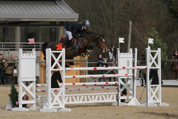 Reitponyhengst Movie Star Tilia - Vornholt Hengste