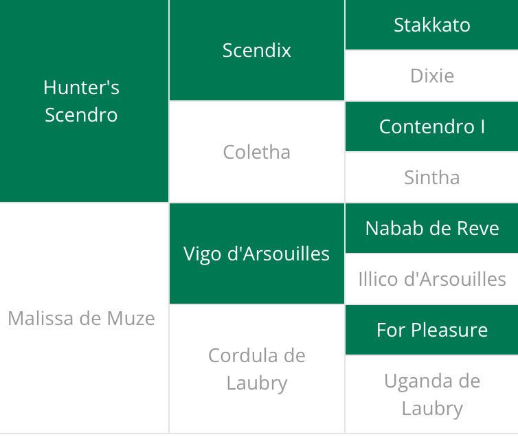 Abstammungstafel Sambucci de Muze