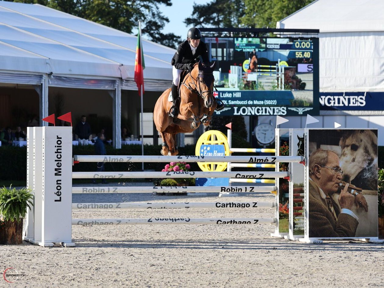 Springhengst Sambucci de Muze