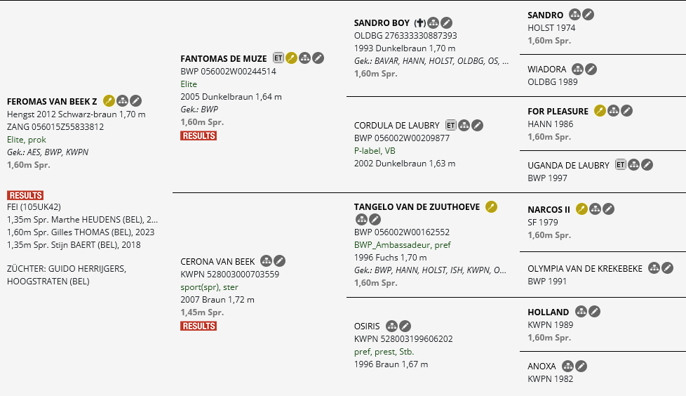 Abstammungstafel Senicio Z